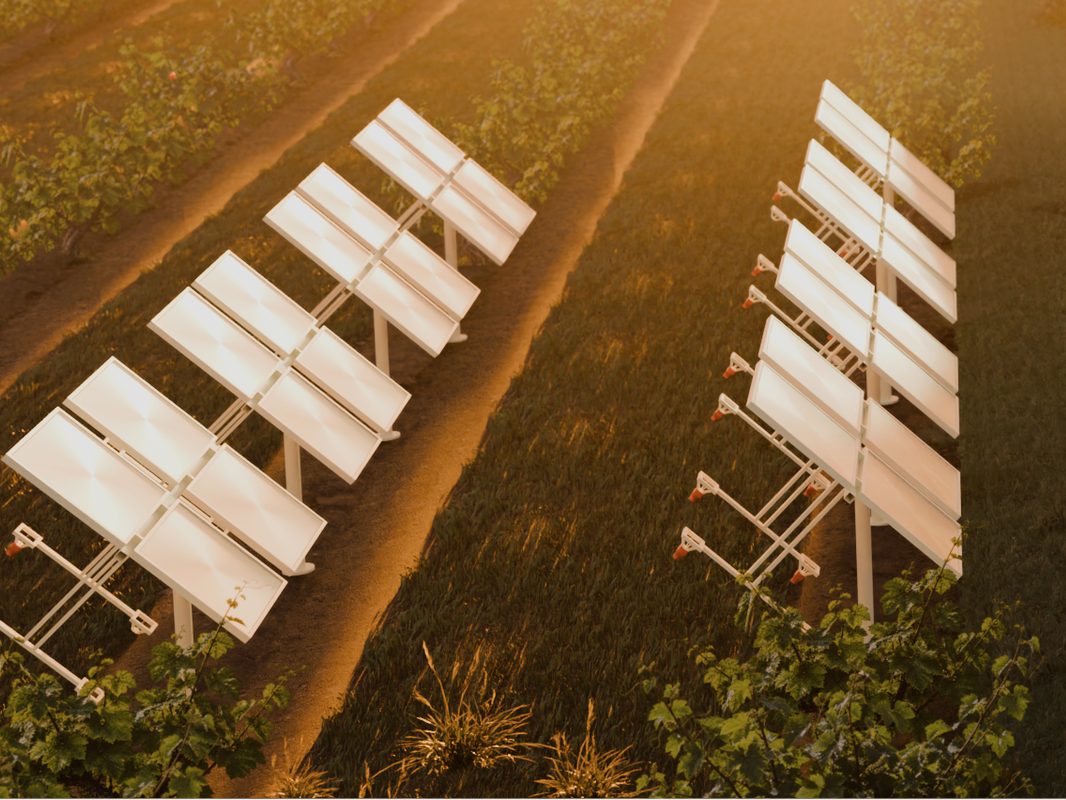 Rows of Solstice solar collectors in an orchard at sunset